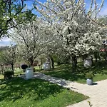 Szőlőskert Сasa de vacaciones