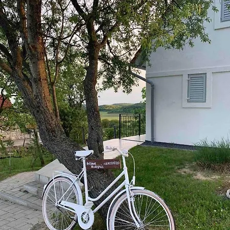 Szoloskert Vendeghaz Holiday home