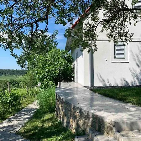 Szoloskert Vendeghaz Ferienhaus Balatonszolos
