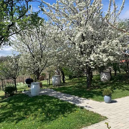 Szoloskert Vendeghaz Holiday home