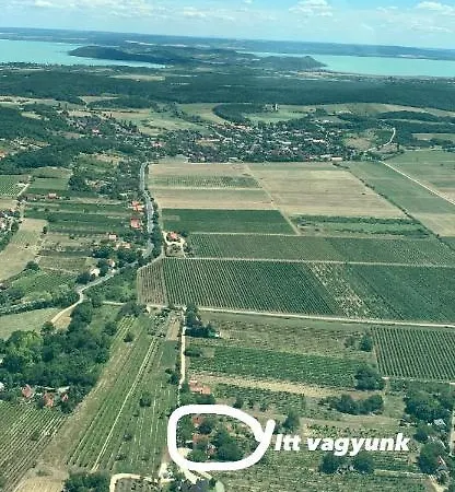Szőlőskert *