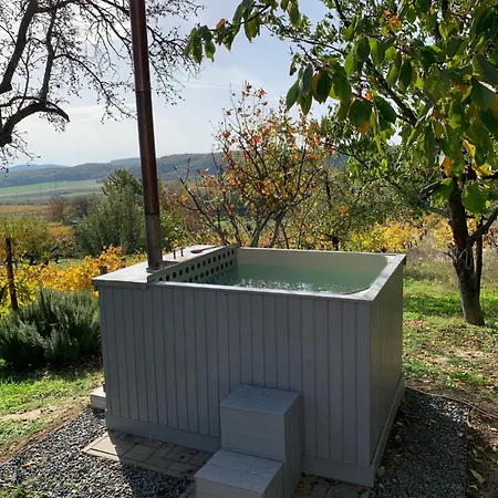 Szőlőskert Casa vacanze Balatonszolos