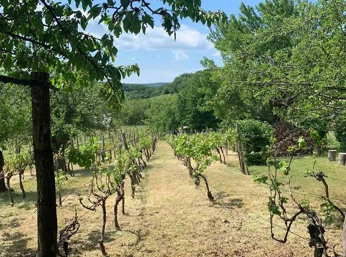 Szoloskert Vendeghaz