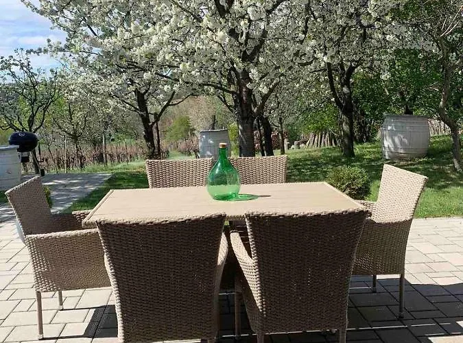 Szőlőskert Balatonszolos