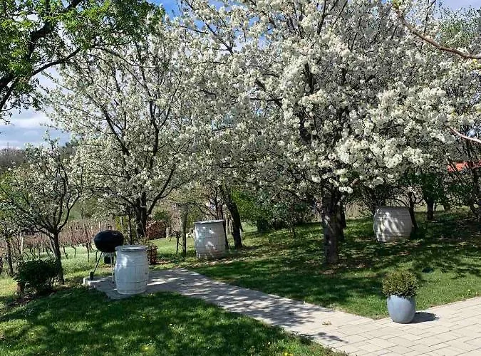 Szőlőskert Casa vacanze