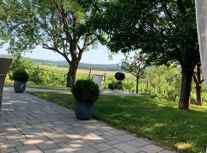 Szőlőskert * Balatonszolos