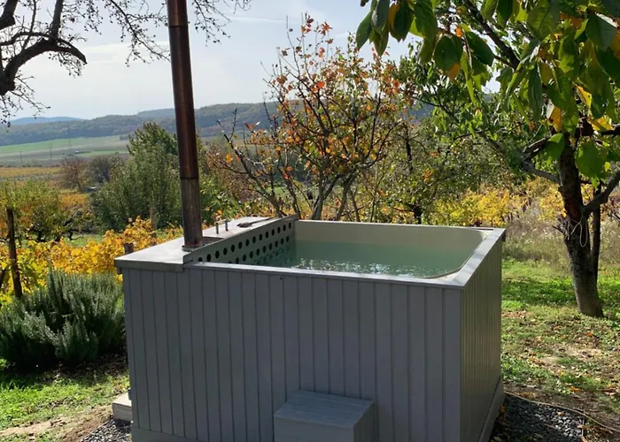 Szoloskert Vendeghaz Tatil Evi Balatonszolos