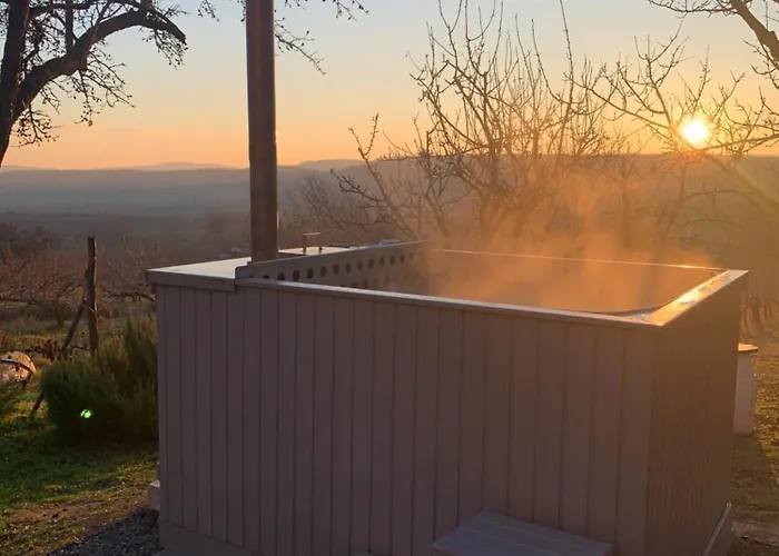 Szőlőskert Balatonszolos