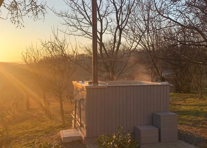 Szőlőskert Casa vacanze Balatonszolos